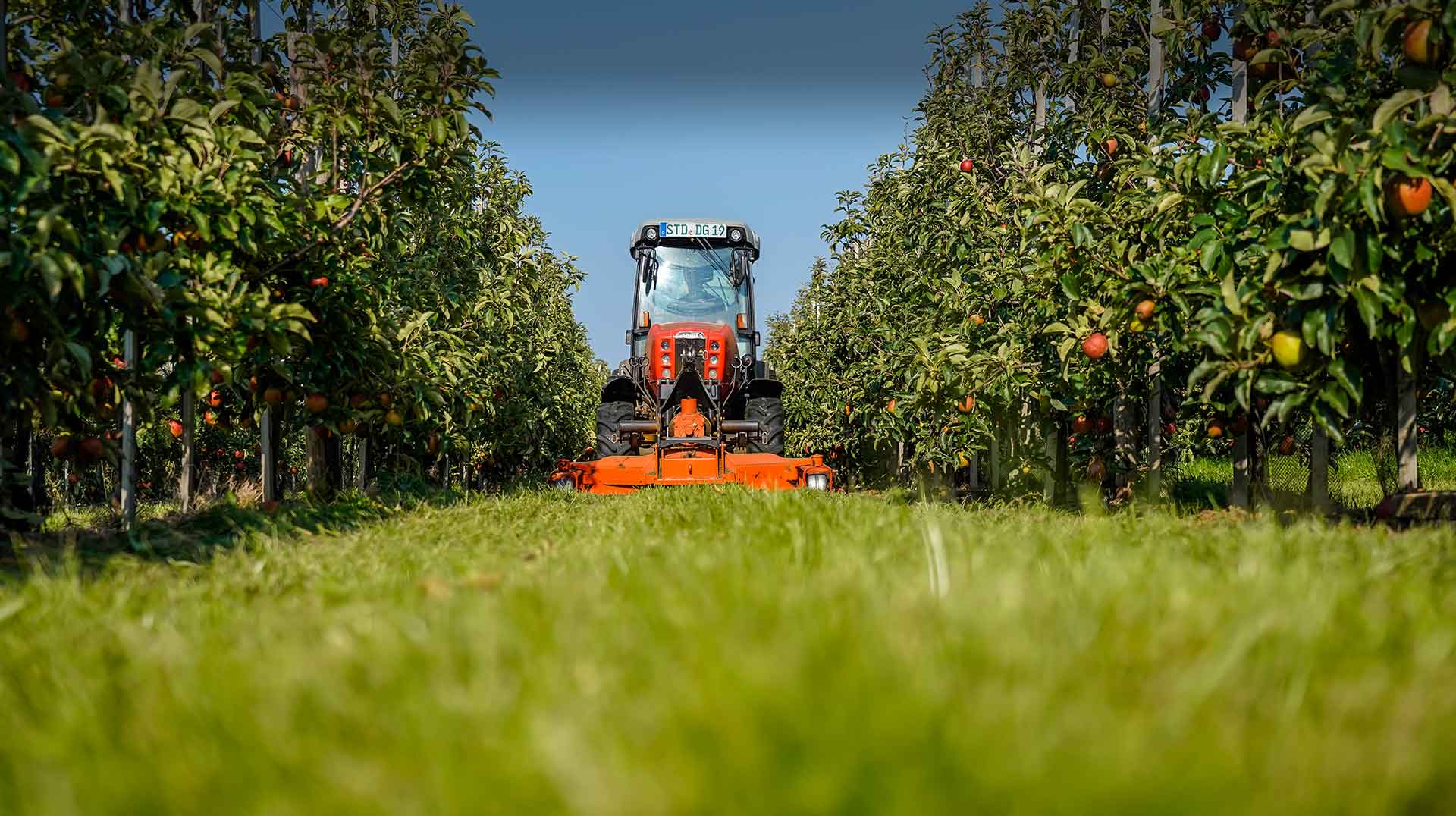 Erntezeit im Alten Land