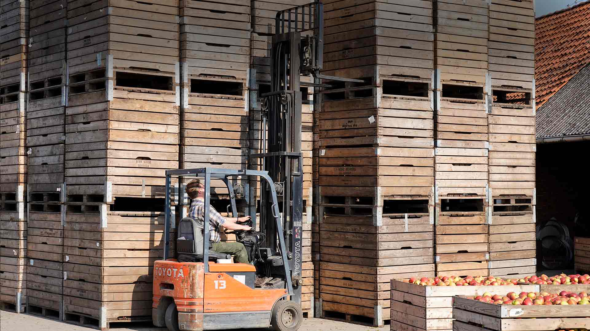 Kirschenernte Arnd Schliecker Handel