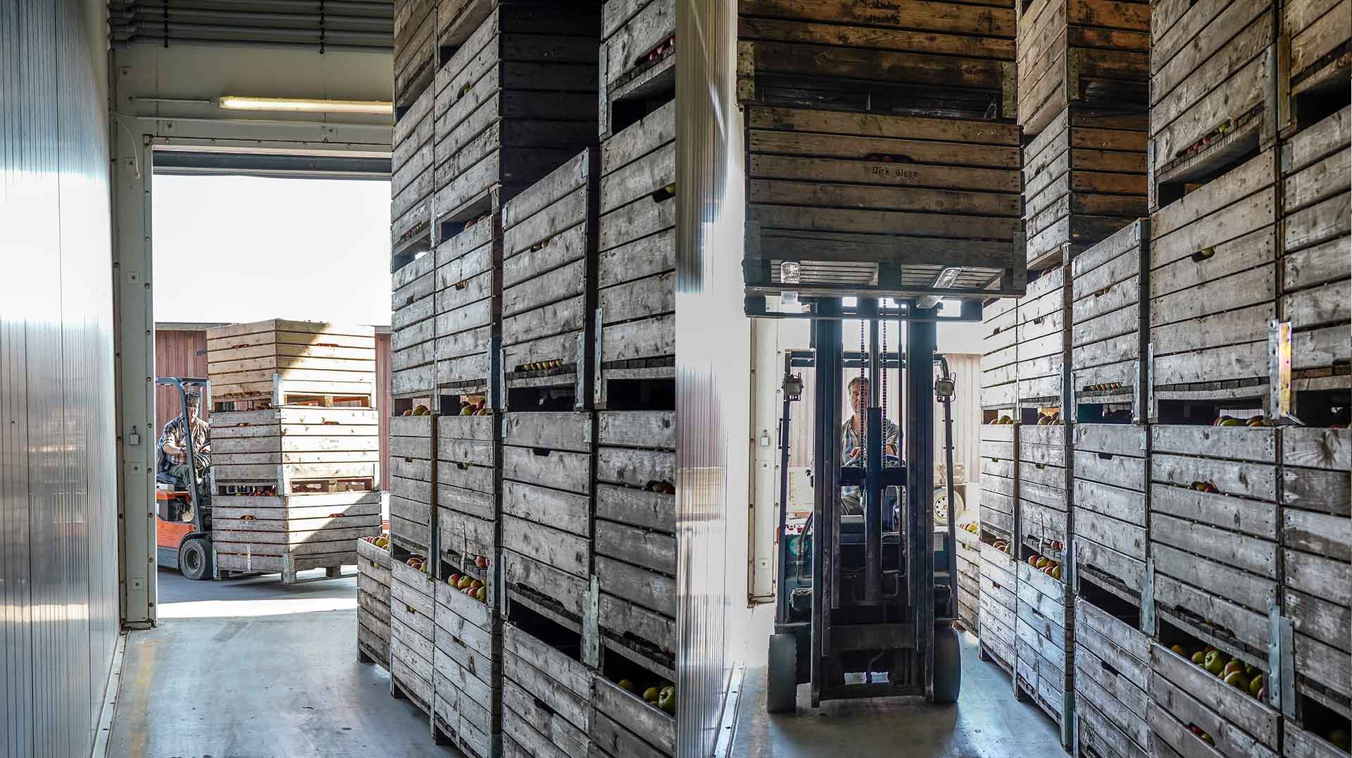 Lagerung Obstbau Schliecker Lagerung Obstbau Schliecker