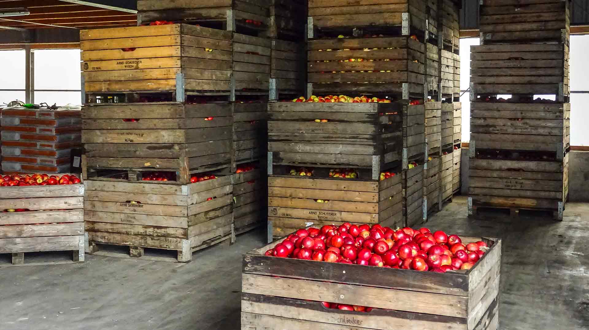 Lagerung Obstbau Schliecker