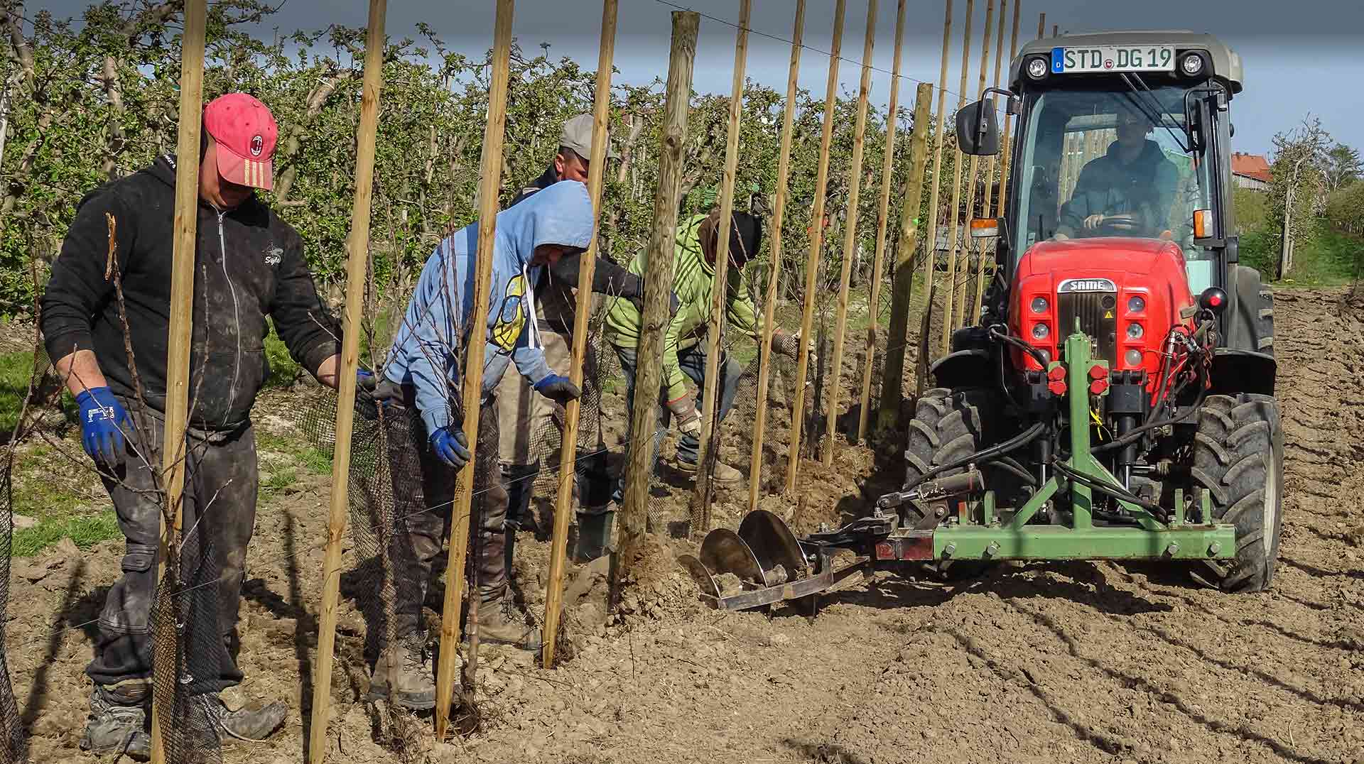 PLagerung Obstbau Schliecker